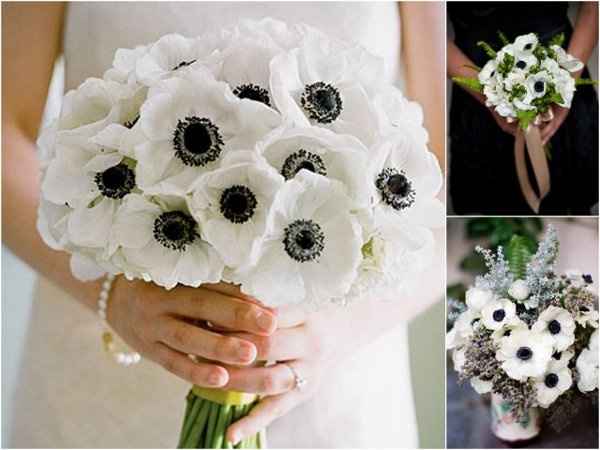 Any Winter Flower Ideas for my bouquet? I'm not in LOVE *pics*