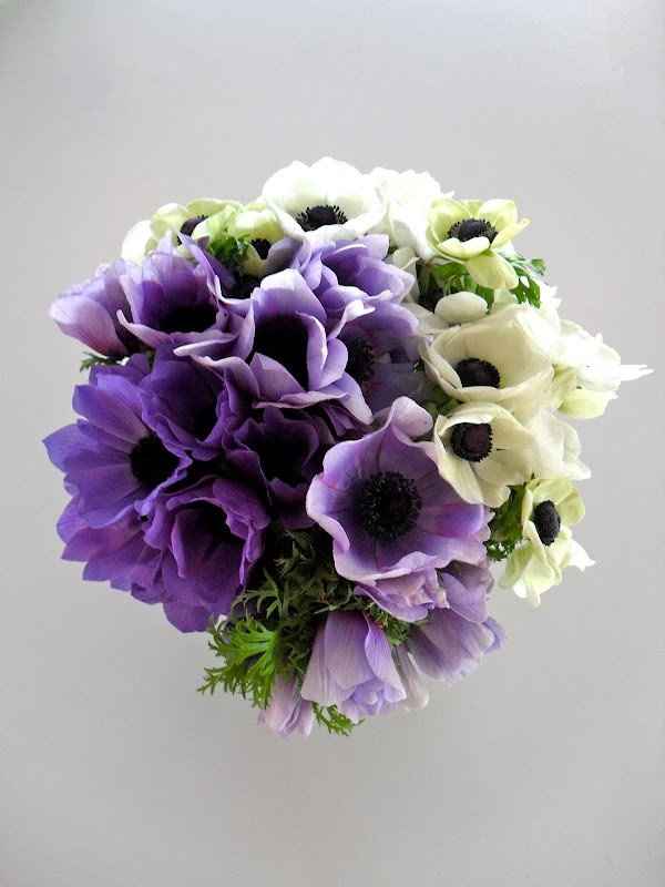 Ok Ladies I need your export opinions!!!! Flowers