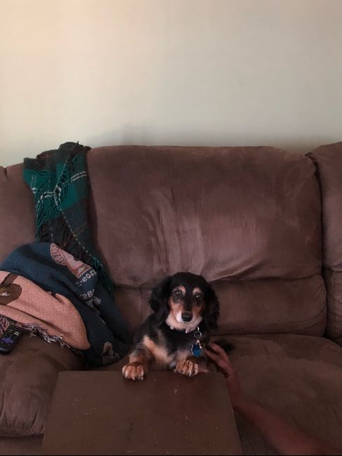 Pet owners! :-) Share your pets - 1