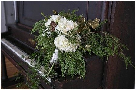 Example of the White Hydrangea