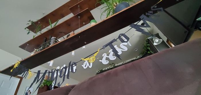 "From Muggle to Mrs"