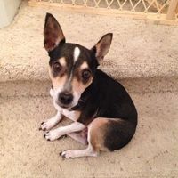 NWR: My (fur) baby's coming home!!!