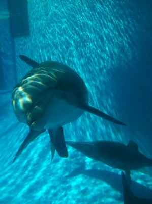 I'm a MRS!!!!!!!!! (NON PRO PICS)