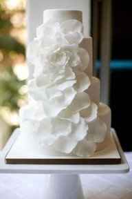 Lets see your cakesperations! Or, actual cakes for those that have already had the special day.