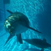 I'm a MRS!!!!!!!!! (NON PRO PICS)