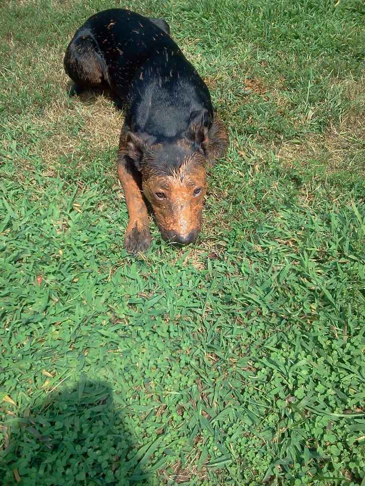 NWR: Lets See Your Fur Babies!
