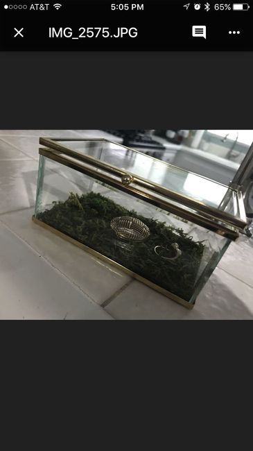 Anyone have creative ring bearer ideas? - 1