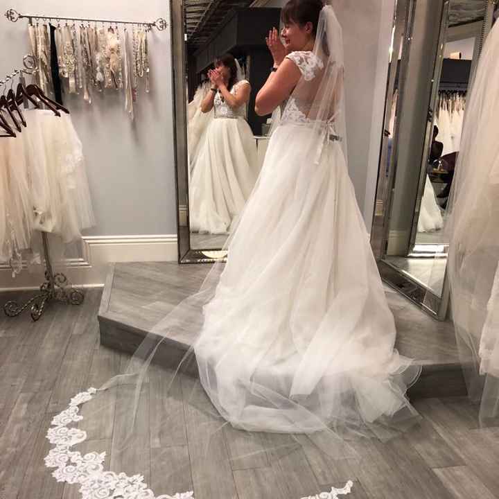 My Dress Came In!!! - Please share yours 😆 - 1