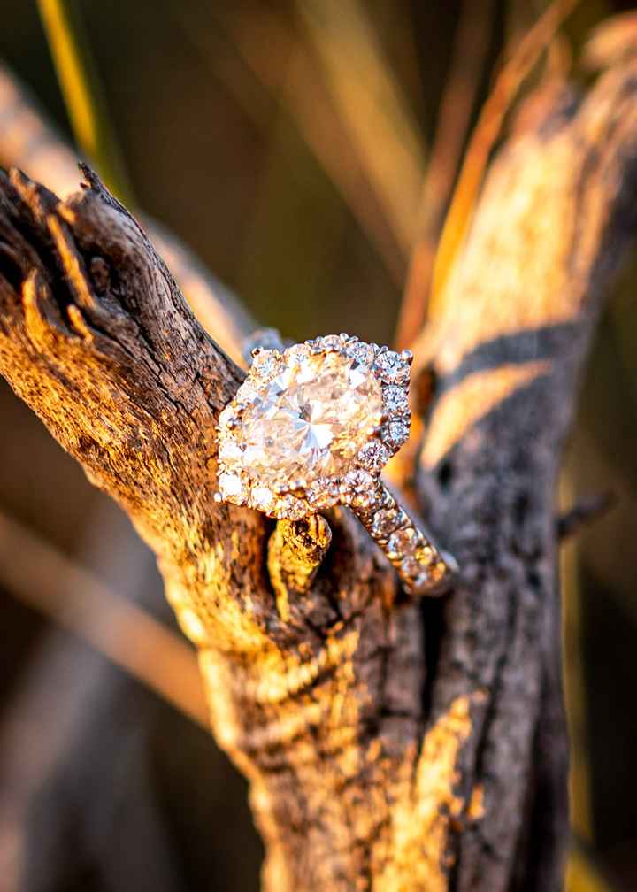 2023 Brides - Show us your ring! - 1