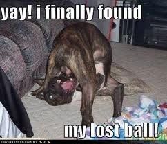 Mrs S ... We need to start another funny Cat thread!