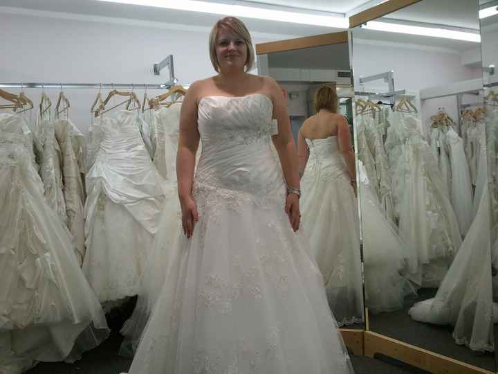 Veil or Birdcage- Opinions please :)