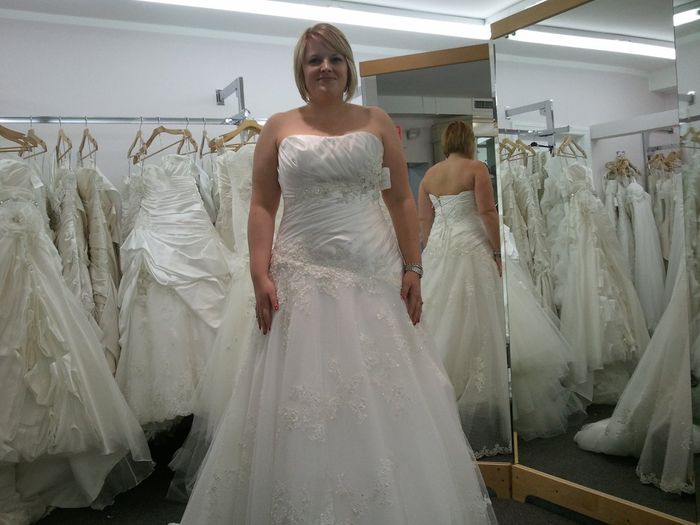 Veil or Birdcage- Opinions please :)