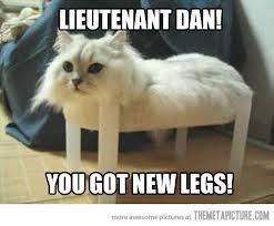 Friday Animal Humor