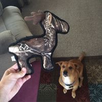 Show me those puppies!