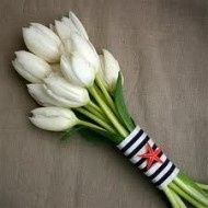 DALLAS< TEXAS: On a budget-DJ, Florals, Cake, Photographer recommendations PLEASE!!