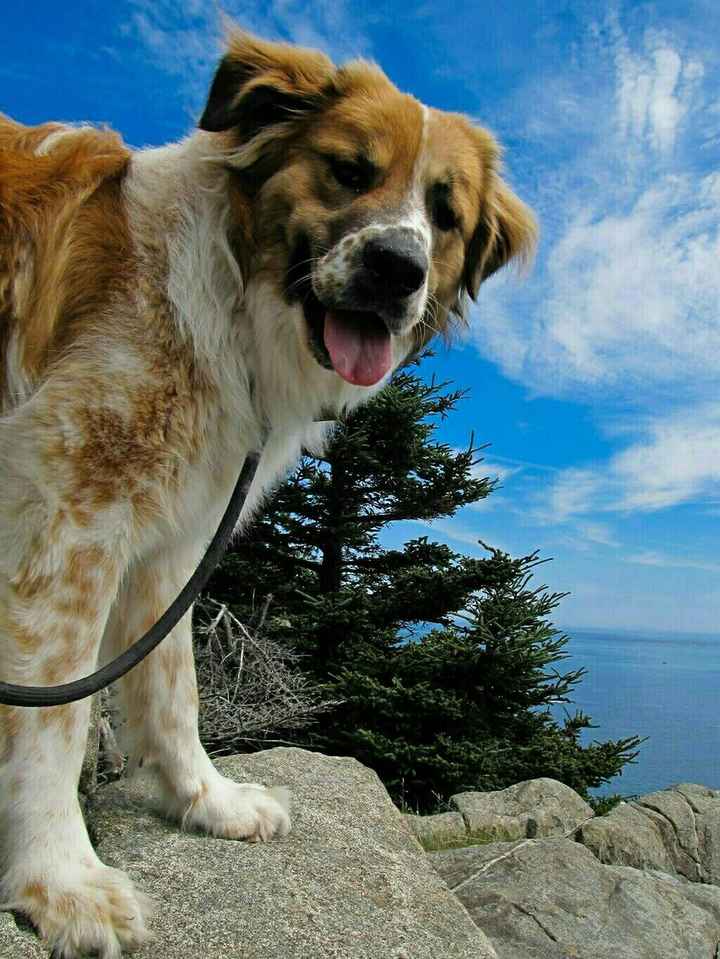 NWR:. Just wanted to share the Sunshine. Caution:Extreme cuteness enclosed.