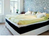 Fun facts about FH/FW and you?