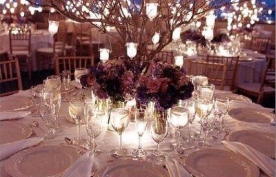 My centerpieces....need ideas.