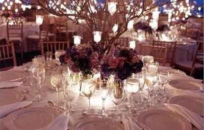 My centerpieces....need ideas.