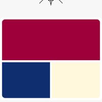 What are your wedding colors? - 1