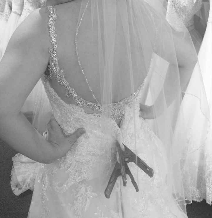 Got the dress! Elegant in front, sexy in the back.... :D