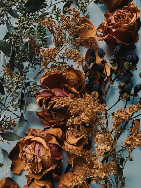 Preserved and dried floral arrangements 🖤 Live or dried? - 2