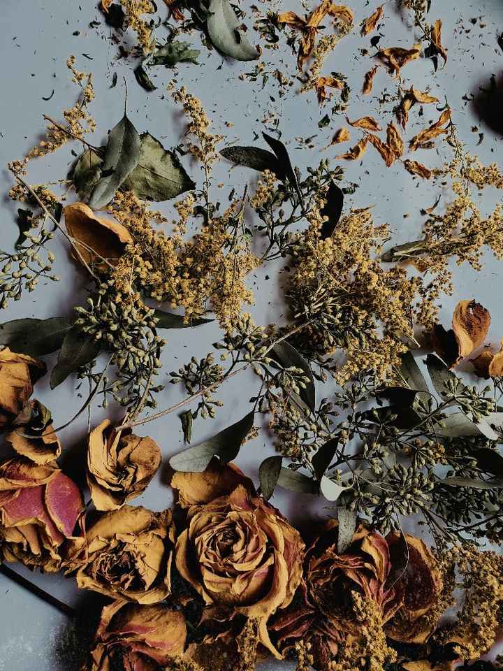 Preserved and dried floral arrangements 🖤 Live or dried? - 1