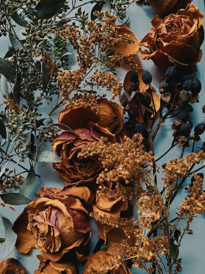 Preserved and dried floral arrangements 🖤 Live or dried? - 2
