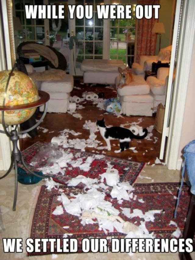 NWR: How to deal when words are thrown.