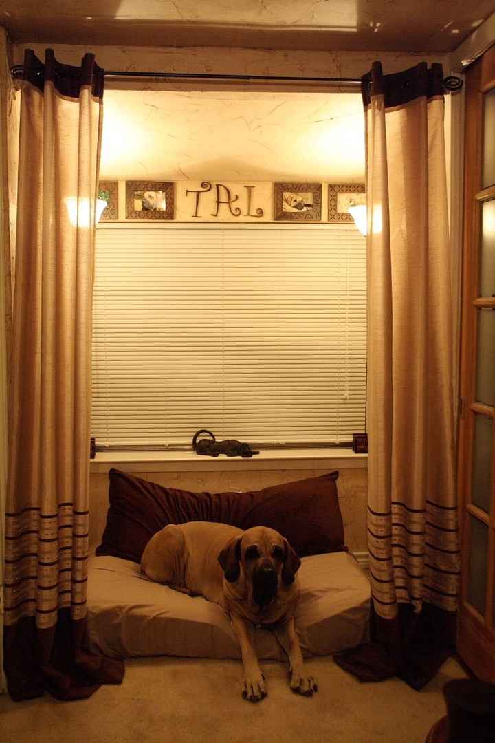 Let's see some FUR babies!