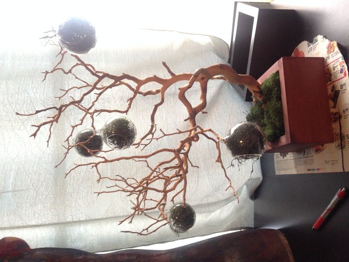 Spin off - Let me see your centerpieces!