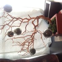 Spin off - Let me see your centerpieces!