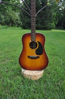 Crazy Wish Tree (pics)