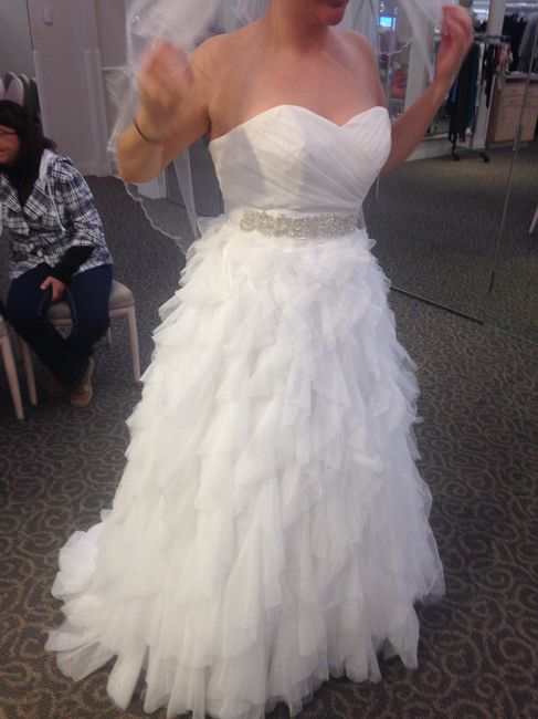 davids bridal girlss!