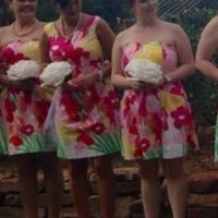 Help please, I need a new vision