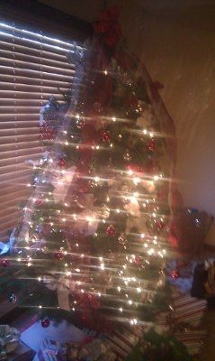 NWR- Lets see your Christmas trees!!!
