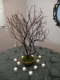 What to put with crystal trees???!