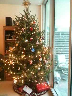 NWR- Lets see your Christmas trees!!!