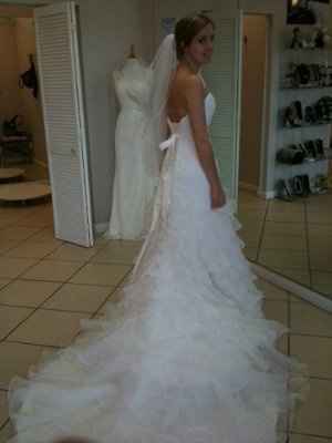 Not a vendor...how much is your dress?