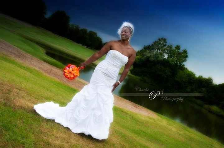 SMY favorite wedding dress pic.