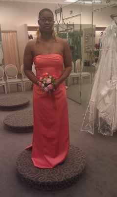 SCORE!   Found & Purchased my BM dresses @ Davids Bridal for $29.99!