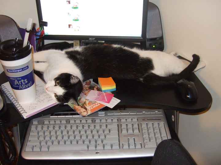 Whose helping you WW!?!