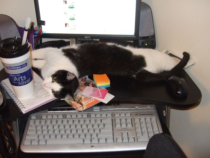 Whose helping you WW!?!