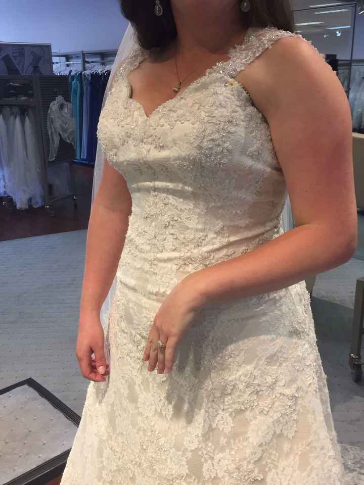 I Found THE Dress!!!!