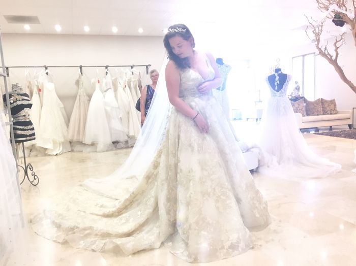 I found MY ACTUAL DRESS THIS TIME!
