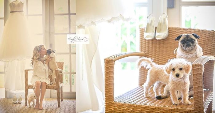 Professional Pics Bam!!!