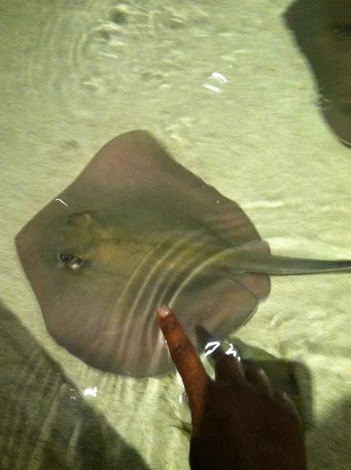 HoneyMoon in Vegas!! A few **pic heavy**