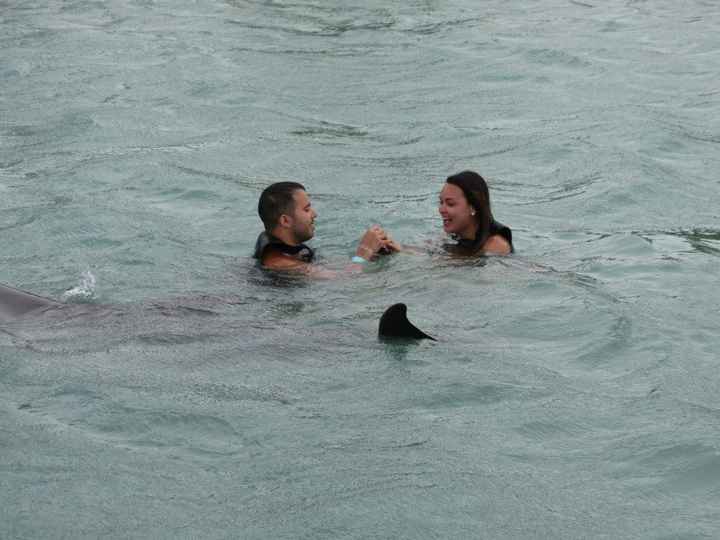 ***********BACK AND ENGAGED!!!!!!!!!*****