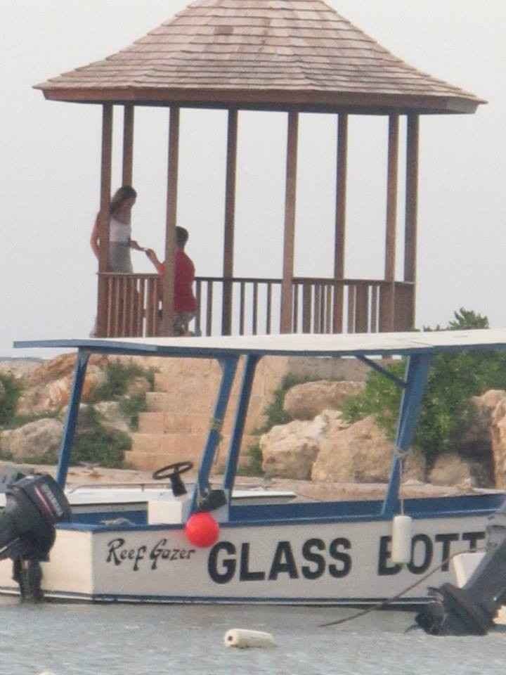 ***********BACK AND ENGAGED!!!!!!!!!*****