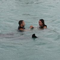 ***********BACK AND ENGAGED!!!!!!!!!*****